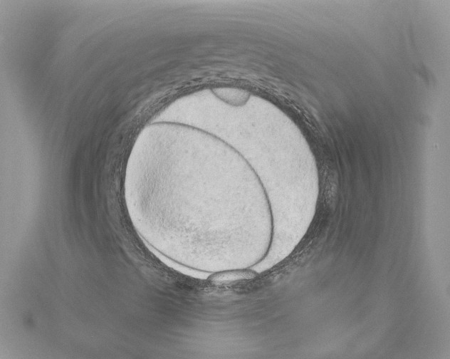 X0000114081489200911161005