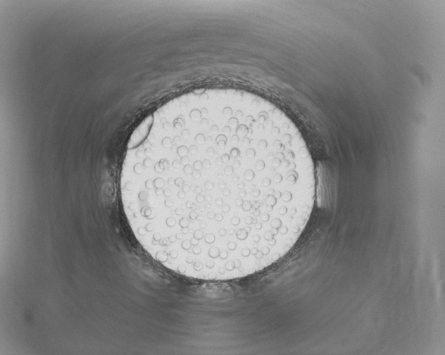 X0000114081491200911161005