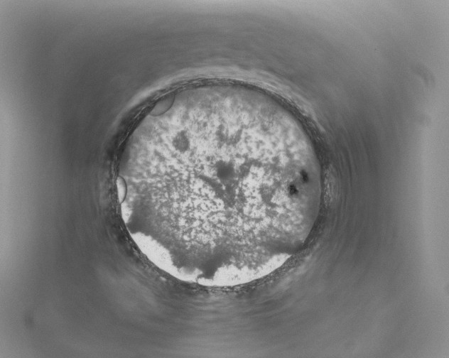 X0000114081494200911161005