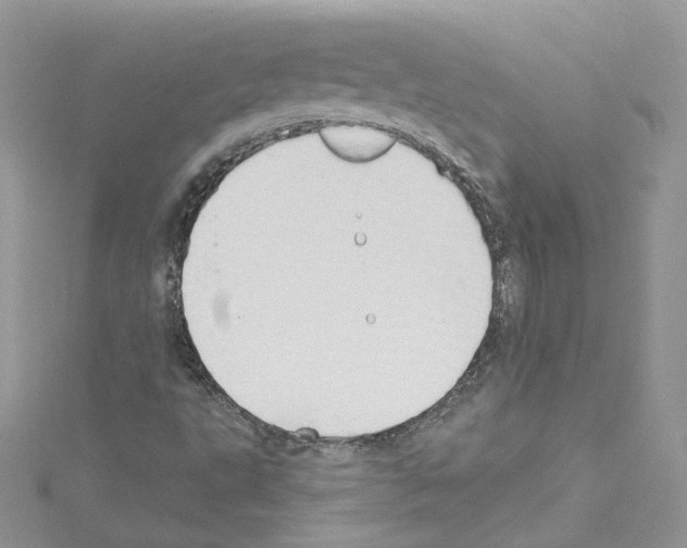 X0000114081495200911161005