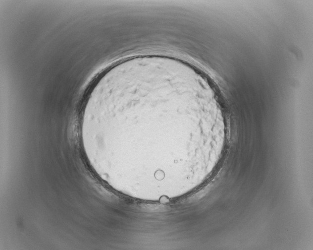 X0000114081498200911161005