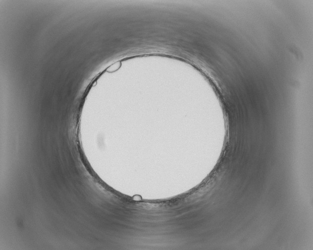 X0000114081500200911161005