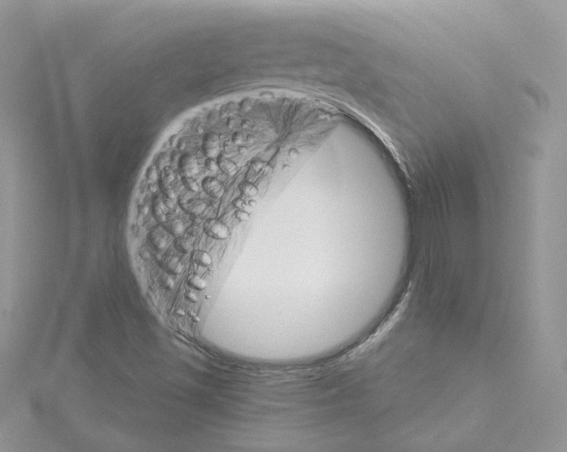 X0000114081501200911161005