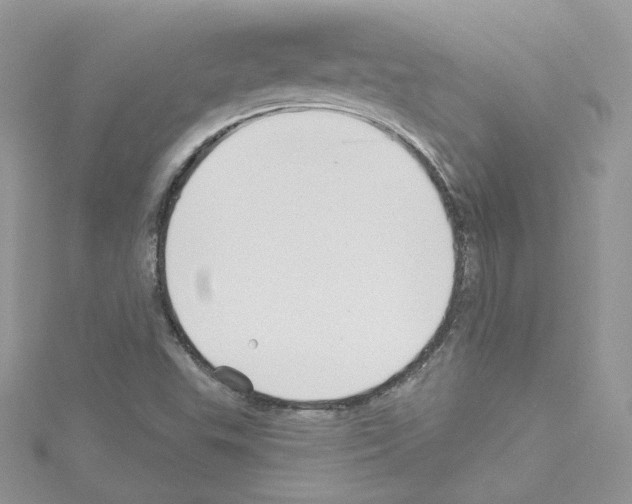 X0000114081503200911161005