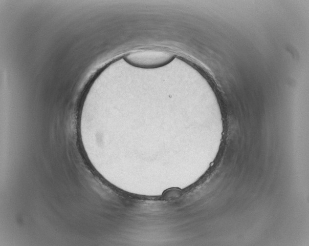 X0000114081506200911161005