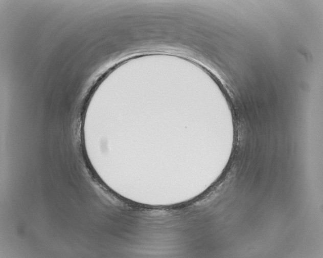 X0000114081507200911161005