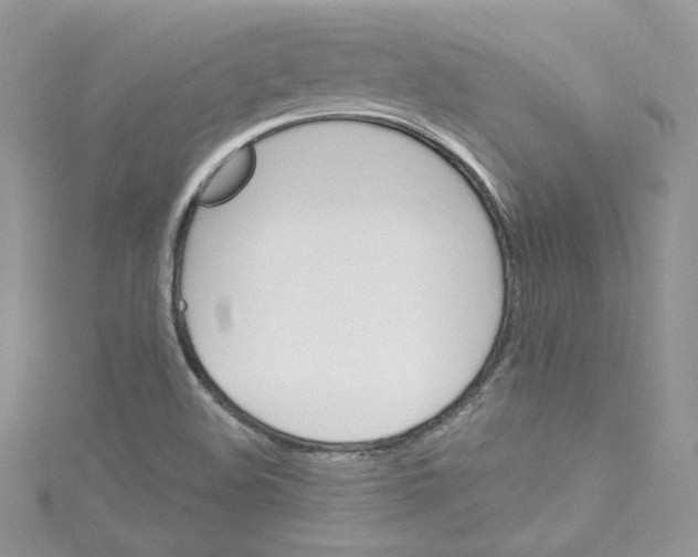 X0000114081508200911161005