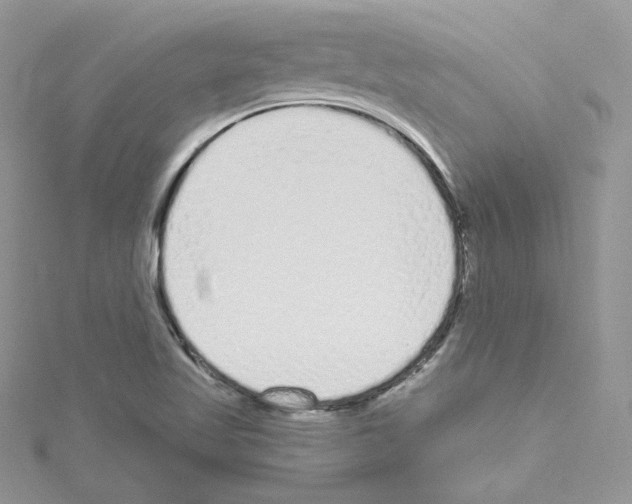 X0000114081509200911161005