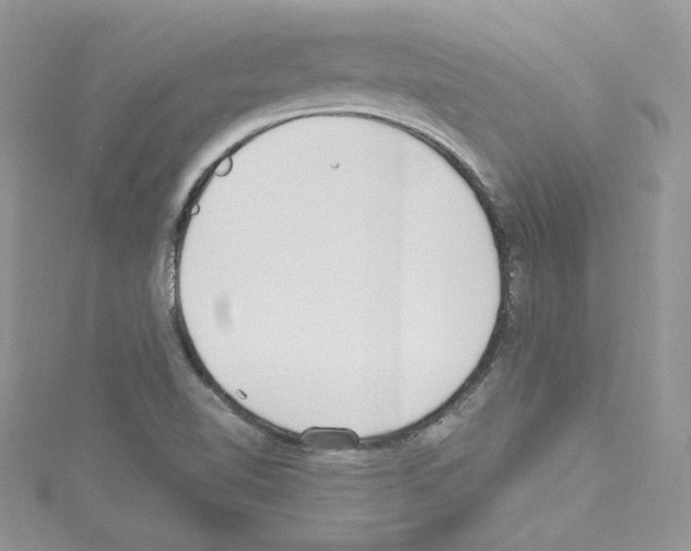 X0000114081510200911161005