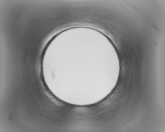 X0000114081511200911161005