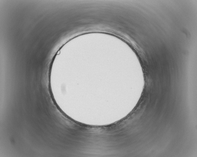 X0000114081512200911161005