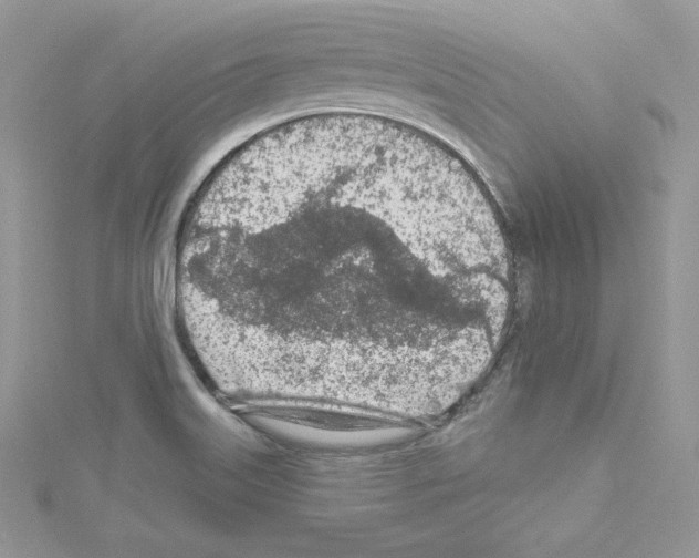 X0000114081515200911161005