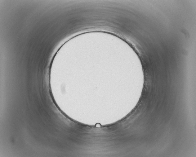 X0000114081516200911161005