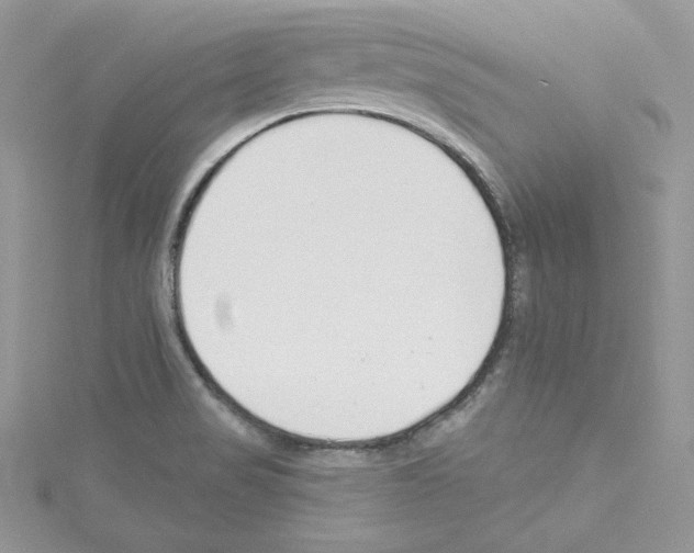 X0000114081517200911161005