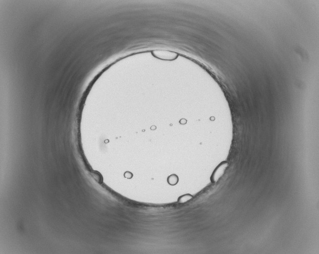 X0000114081518200911161005