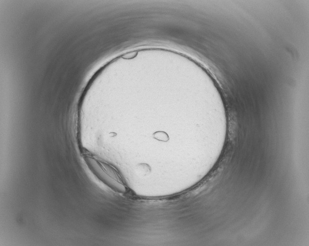 X0000114081519200911161005