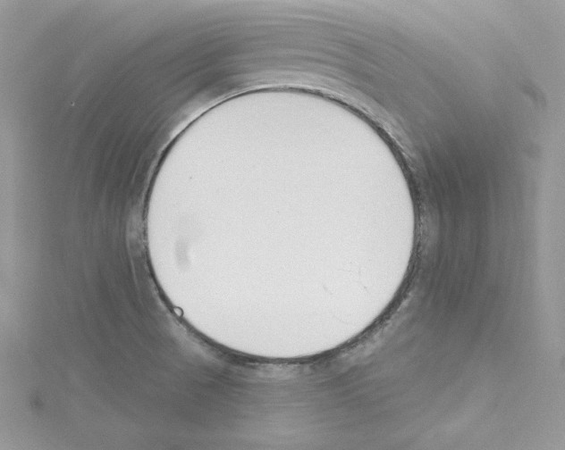 X0000114081521200911161005