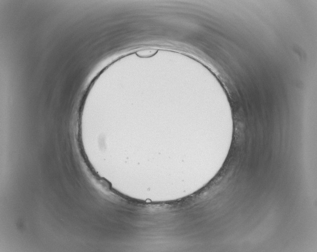 X0000114081523200911161005