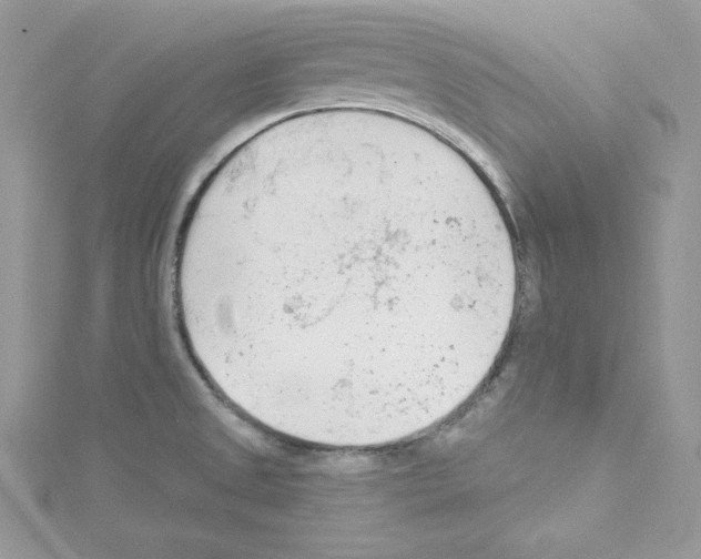 X0000114081525200911161005