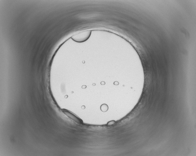 X0000114081526200911161005