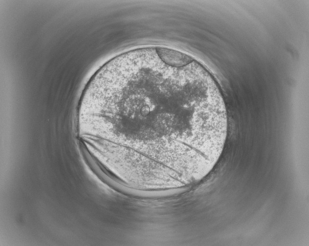 X0000114081527200911161005