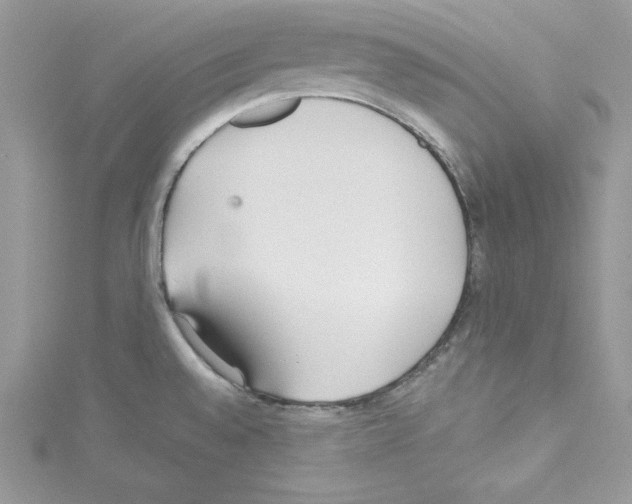 X0000114081528200911161005