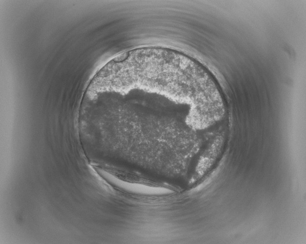 X0000114081529200911161005