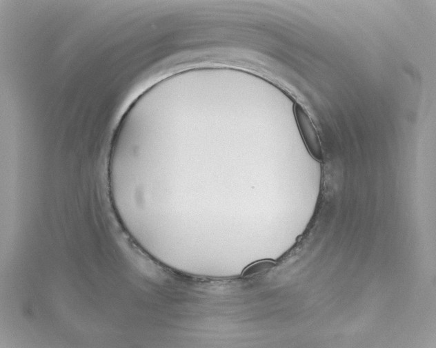 X0000114081530200911161005