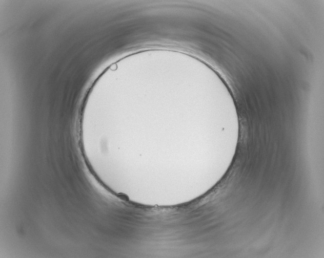 X0000114081531200911161005