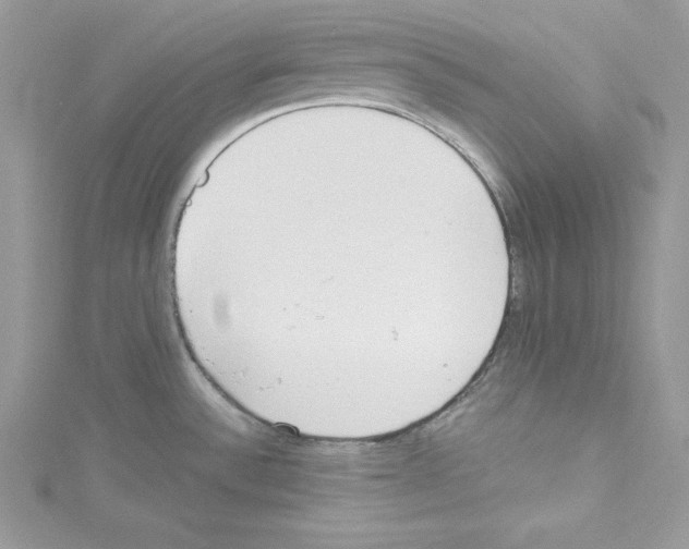 X0000114081532200911161005