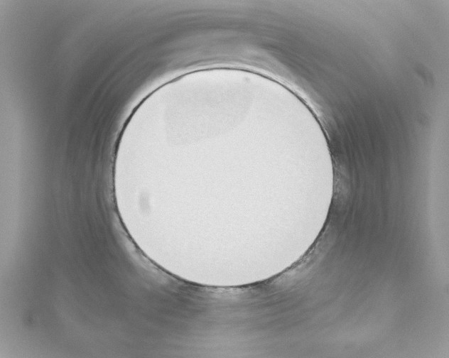 X0000114081534200911161005