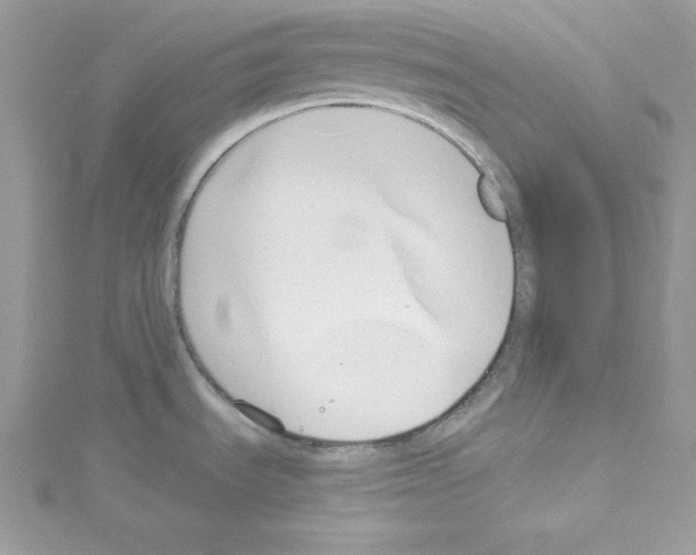 X0000114081535200911161005