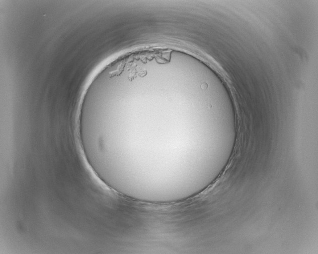 X0000114081536200911161005