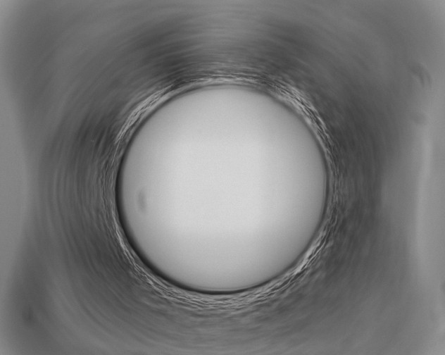 X0000114090001200910051219