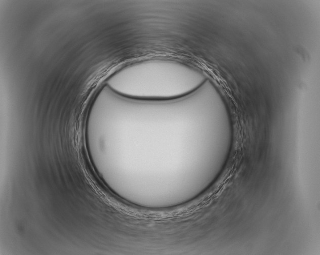 X0000114090002200910051219