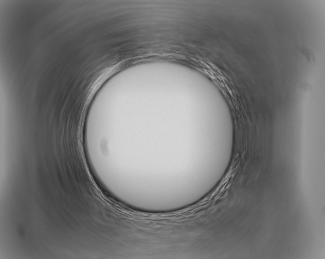 X0000114090003200910051219