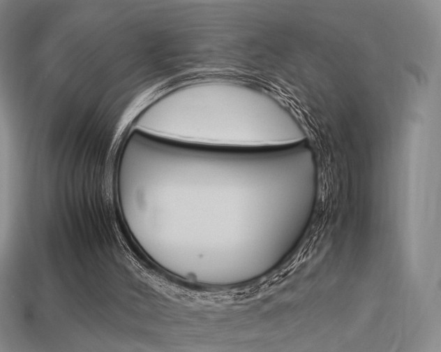 X0000114090004200910051219