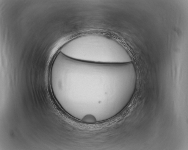 X0000114090006200910051219