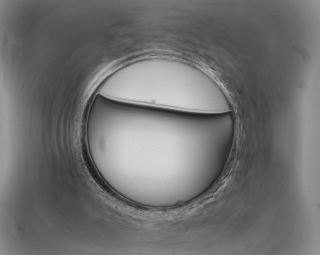 X0000114090007200910051219