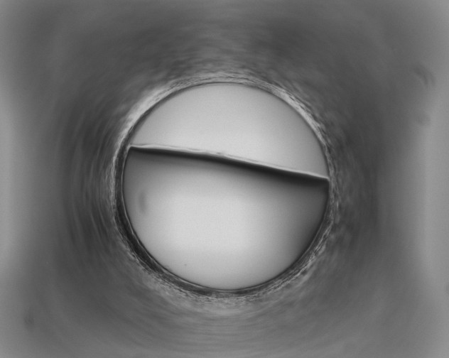 X0000114090008200910051219