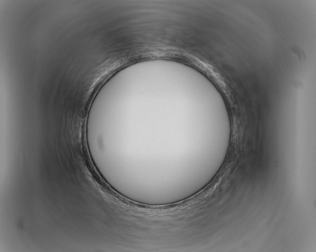 X0000114090010200910051219
