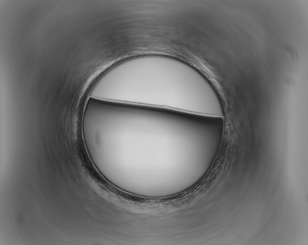 X0000114090012200910051219