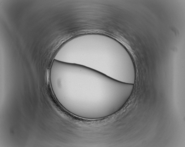 X0000114090013200910051219