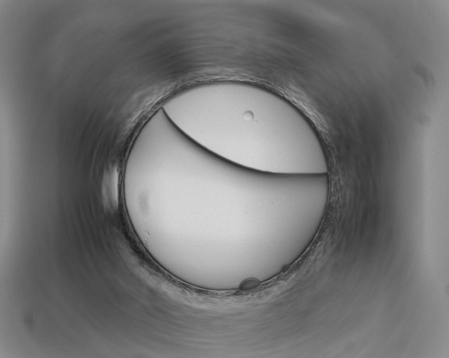 X0000114090014200910051219