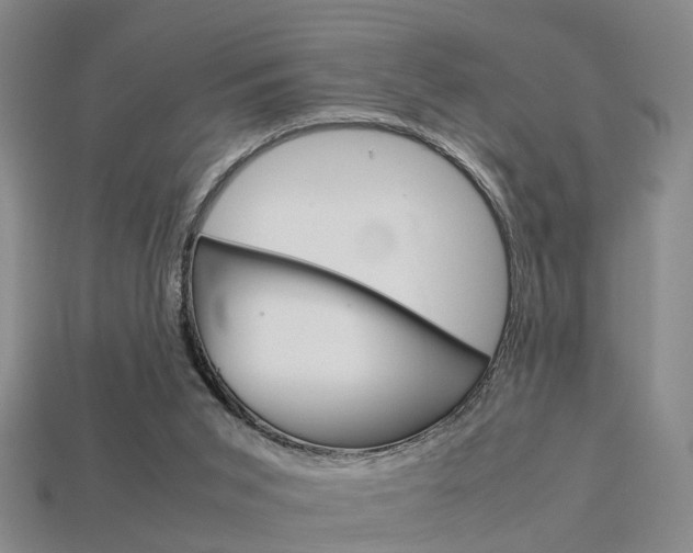 X0000114090015200910051219