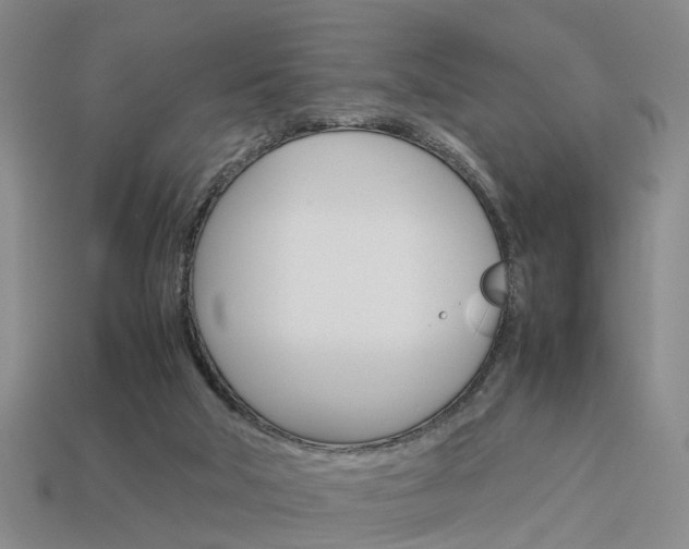 X0000114090018200910051219