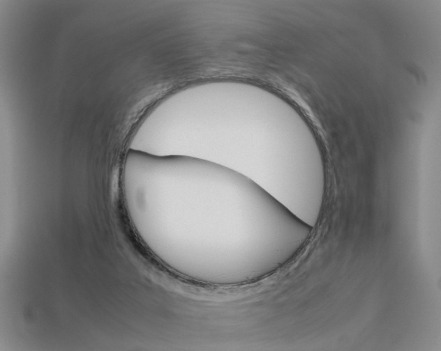 X0000114090019200910051219