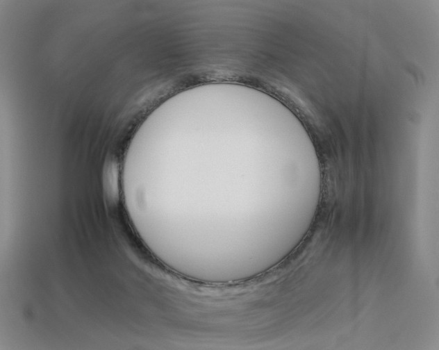 X0000114090022200910051219