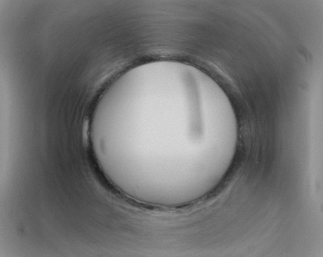 X0000114090024200910051219