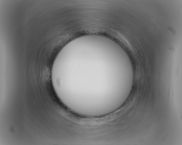 X0000114090025200910051219